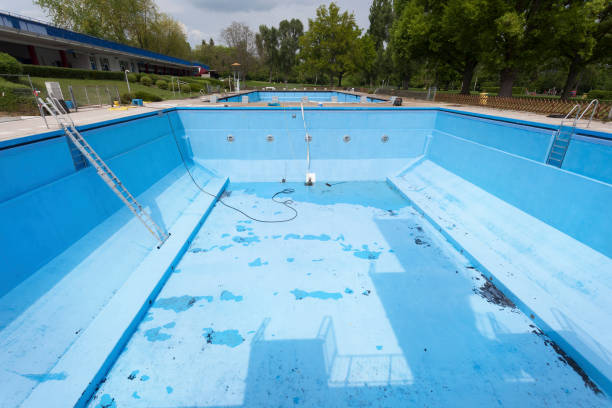 Best Basement water damage restoration  in Maugansville, MD