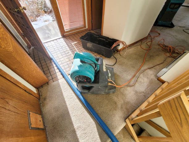  Maugansville, MD Water damage restoration Pros