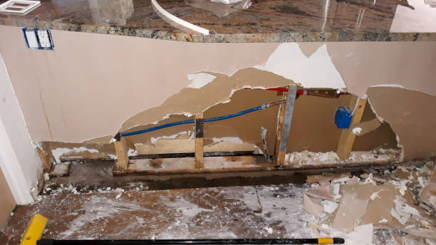 Best Flood restoration services  in Maugansville, MD
