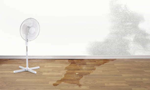Professional Water damage restoration in Maugansville, MD
