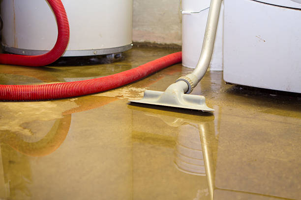 Best Carpet water damage restoration  in Maugansville, MD