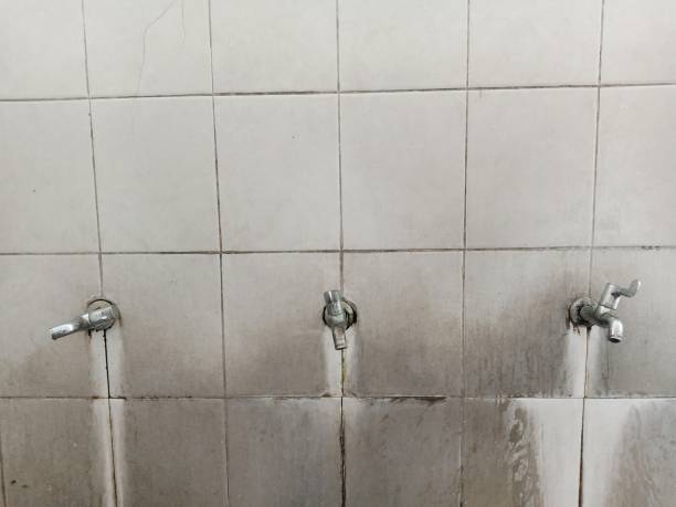 Best Professional water damage repair  in Maugansville, MD