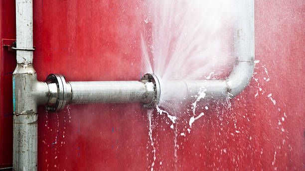 Best Professional water damage repair  in Maugansville, MD