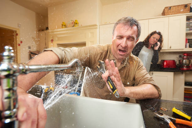 Best Flood restoration services  in Maugansville, MD